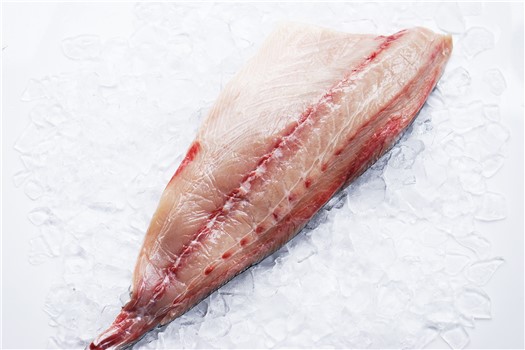 RICCIOLA FILETTO 200/400 IWP KG.6