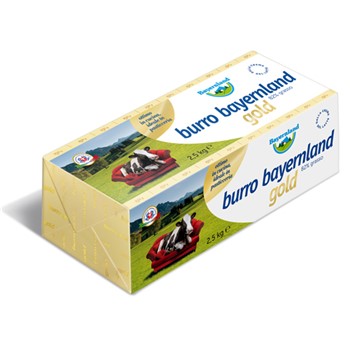 BURRO GOLD PANETTO KG2,5 BAYERNLAND
