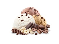 GELATO VASCHETTA CIOCC./NOCC. GR. 1200X4PZ SIGEL
