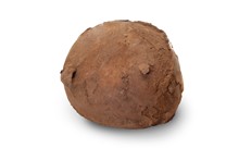 GELATO TARTUFO NERO DI PIZZO  PZ 20