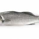 BRANZINO INTERO FRESCO IQF 1000/1500 10KG